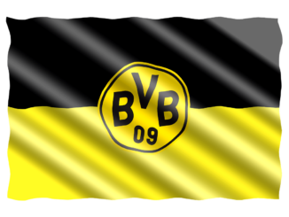 BVB Fahne